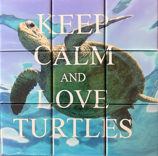 9-piece Magnetic Puzzle